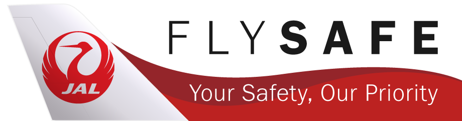 Fly Safe